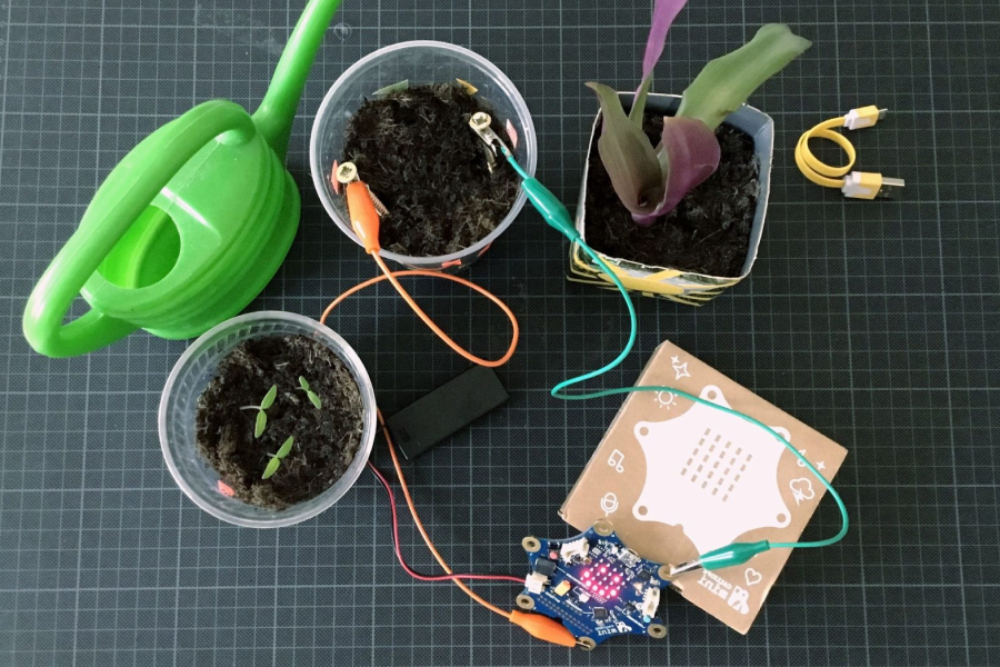 Fröhliche Pflanzen mit Calliope mini