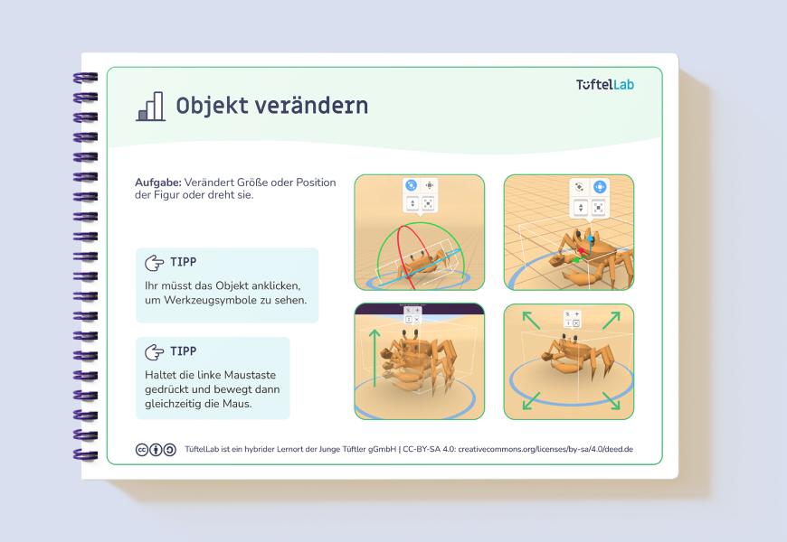 Lernkarten: Delightex (CoSpaces) Grundlagen
