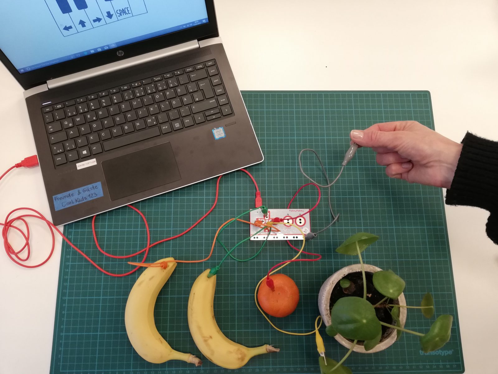 Mit Computer und Obst verbunderener Makey Makey, eine Hand hält den Erdungs-Krokoclip