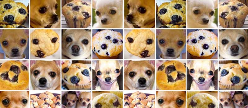 Viele Bilder von Muffins und Chihuahuas, die sich alle sehr ähnlich sehen und schwer voneinander zu unterscheiden sind