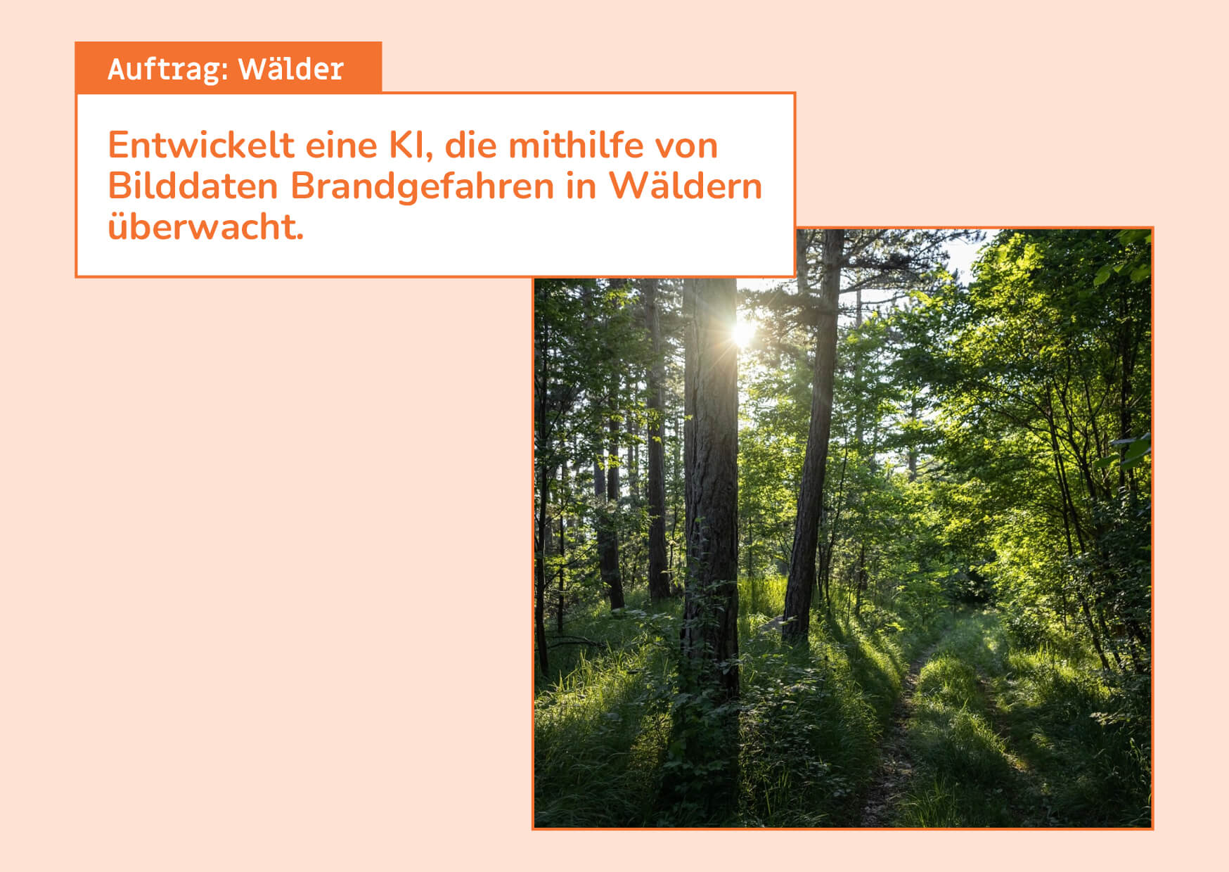 Karte Problembeschreibung: Wälder