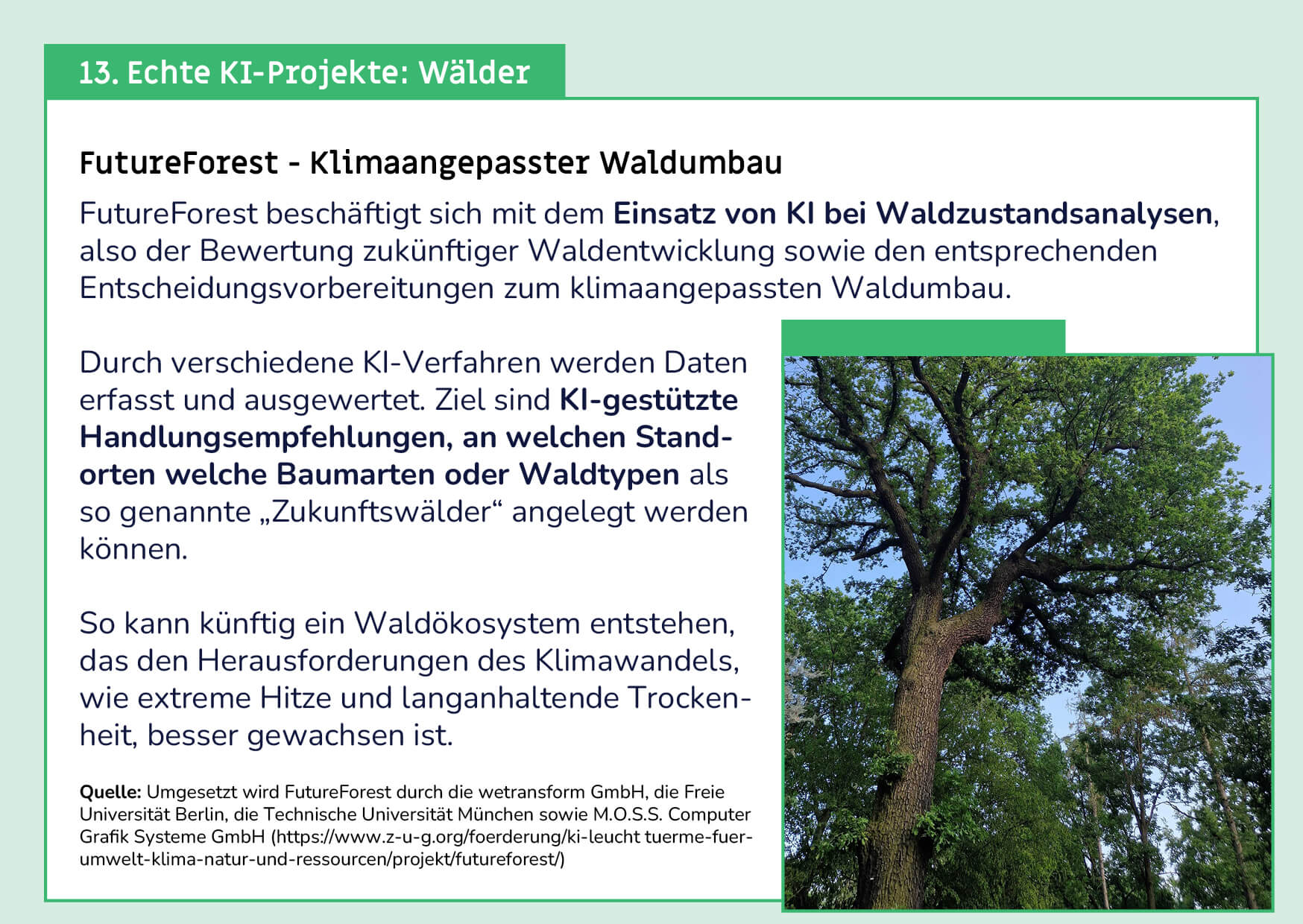 Karte: Echtes KI Projekt Wald