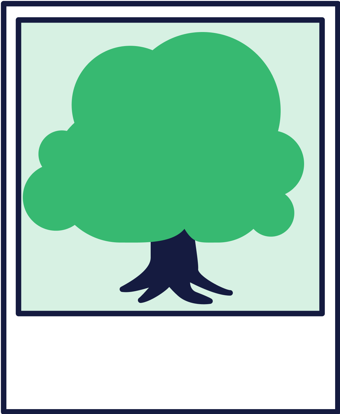 Illustration: Ein Foto von einem Baum