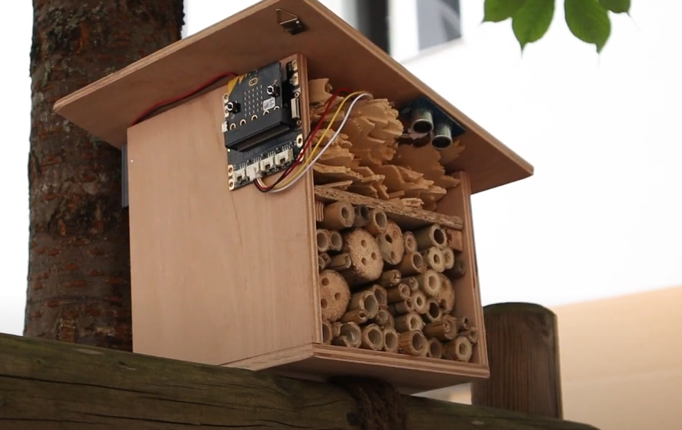 Platz für Bienen(t)räume